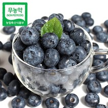 무농약 순창 급냉 블루베리 1kg / 2kg / 3kg (13mm~18mm이하), 1개, 3kg(500g 6봉)