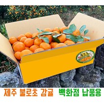 [제주][불로초감귤] 불로초 감귤 백화점3사 입고된 GAP 인증 고당도 감귤 선물용 3kg / 1.5kg, 불로초 감귤 (선물용)1.5kg