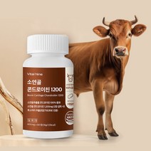 관절엔 콘드로이친 1200 소연골 추출분말 100% 식약처인증 저분자 소연골 TSE/BSE인증, 1통, 60정