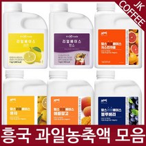 흥국농축액 흥국농축에이드 자몽 청포도 블루베리 레몬외, 흥국FnB 맘스 리얼 베이스 자