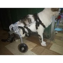 강아지휠체어 2륜보행기 소형견 애견 재활 뒷다리 반려견 보조기, 기본선택