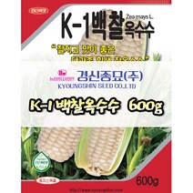 경신종묘 백찰옥수수 600g 파종용 옥수수 씨앗 당일발송, 1개