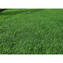 풋살장 학교 야구장 축구장 골프장 실내외 운동장 스포츠 인조잔디 두께 35mm 폭2mx5m/10m, 두께35mm(폭2mx10m)