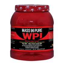 매스96 퓨어 WPI 단백질 보충제 프로틴 초코맛, 2개, 1000g