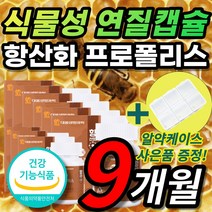 씹어먹는 허브맛 식물성 츄어블 캡슐 비 벌 벌꿀 꿀벌 벌집 프로폴리스 플로폴리스 프로폴리 폴리폴리스 프로플러스 폴라폴리스 플라보노이드 환절기 유해산소 구강 향균작용 항산화 도움, 9개월 / 60캡슐X9개 + 사은품