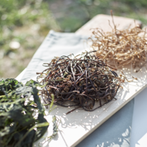 온유네 국산 햇 고사리 지리산 건나물 취나물 곤드레 시래기 토란대 고춧잎 고구마줄기 무말랭이 호박고지 고춧잎 아주까리, 1-1 햇 건고사리 50g[일반농산물]