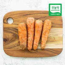 삼시세끼연구소 농협 친환경 국산 제주 당근 당근주스 용 500g 1kg 2kg, 친환경 당근 1kg