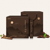 천호엔케어 녹용홍삼기력편 10ml x 60포 홍삼음료 홍삼액기스 엑기스 효도 감사선물