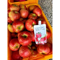 명품 생사과즙 평창 금당골농원사과즙 100ml, 10팩