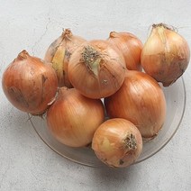 산지직송 무안양파 3kg 5kg 10kg 혀니러쉬, 01_양파3kg