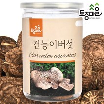 토종마을 [토종마을] 건능이버섯 50g, 단품없음