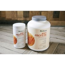 바디쉐프 요거트 WPI 웨이프로틴(600g), 2kg (+61000원)