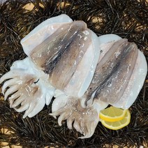 급냉 손질 갑오징어 1kg(3-5미내외) / 2kg(6-10미내외), 1kg(3-5미 내외), 1개