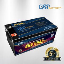 지에스피 리튬인산철 다용도배터리 48V 60A 가정용 솔라 전기차배터리, 리튬인산철배터리 48V60A