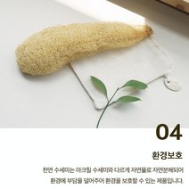 루파 바게트수세미 오이수세미 친환경 설거지