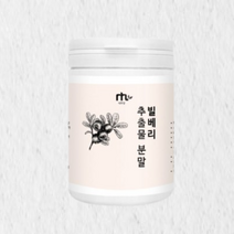 [1+1행사]빌베리추출물 분말 가루 폴란드산100% 80g