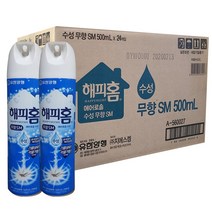 유양양행 해피홈 에어로솔 무향 500ml 24개 1박스, 24개입