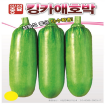 호박씨앗종자 / 킹카애호박(30립x3봉)