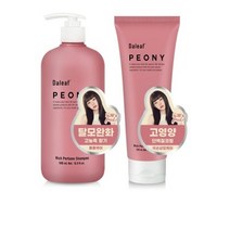 달리프 피오니 리치 볼륨 탈모 완화 퍼퓸 샴푸 500ml + 헤어트리트먼트 250ml 세트, 1세트