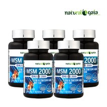 내추럴가이 MSM2000 관절건강관리도움 5병 디메틸설폰 상어연골분말 무릎건강관리도움