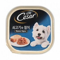 시저 100g 특별식 사료 4개 시저캔