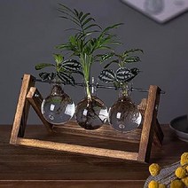 Funecy 식물 테라리움 1P 유리병 플랜테리아 홀더, 3구형