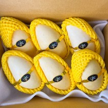 [최저가 항공직송] 고당도 태국 골드망고 설탕망고, 태국망고 2.5kg(7과 내외), 1개