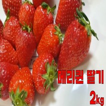 금실 고당도 죽향 메리퀸 딸기 2kg