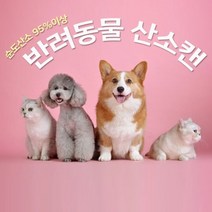 반려동물 퓨어 산소캔 816ml 1개 - 휴대용산소