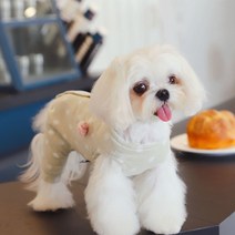 Neirny 강아지 토끼 올인원 후리스 데일리 애견 양털 후리스 겨울옷 시츄 포메 비숑 푸들 고양이옷 TZSJ-01, 그린