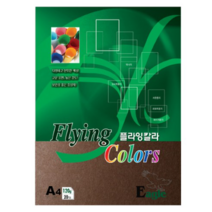 삼원특수지 플라잉칼라 복사용지 E22 밤색 120g 20매입, 10개, A4