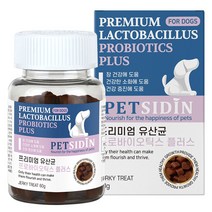 종근당바이오 X 이글벳 라비벳 유산균 강아지 고양이 반려동물영양제 성분좋은유산균, 장&피부 X 2개 60포 + 증정