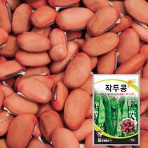 작두콩 씨앗 씨 종자 넝쿨 텃밭채소 10립