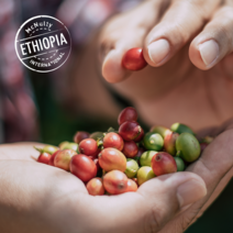 [맥널티 생두] 에티오피아 예가체프 아리차 G1 (Natural), 5kg, 1개