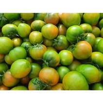매일야채 고농축 당근의 힘 / 토마토의 힘 125ml x 24팩 활기찬 하루 KF94 마스크 1매 증정, 매일야채 토마토의 힘(125ml x 24팩)
