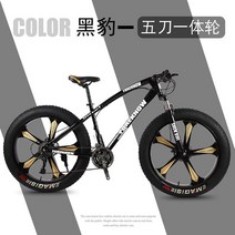 팻바이크 입문용 오프로드 MTB 자전거 20 24 26인치, 30단, 블랙(5 나이프 휠)