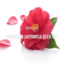 동백오일(정제) 100ml, 1개