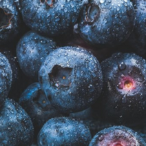 생 블루베리 블루베리 생과, 블루베리(4팩)