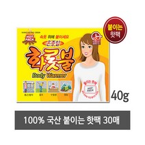 [기타] 22년 국내생산 최대 12시간 온종일 화롯불 파스형 핫팩 [붙이는 핫팩/40g], 선택:붙이는 핫팩/30매