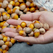 깐은행 500g(대), 단품