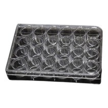 미생물 세포배양 중등 과학실험 24홀 투명홀판 5P 트레이 시료거치대 체험