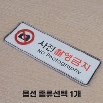 투명 케이스형 CCTV 보안카메라 녹화중 작동중 화장실 소화기 출입금지 금연 흡연 걸이형 부착형 당기세요 미세요 종류선택 1개, 대 사진촬영금지 가로형 2개입