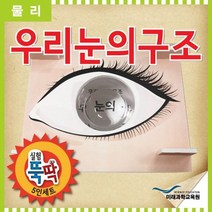 실험뚝딱 우리눈의구조 5인세트 _ 2302038EA