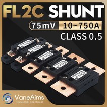 누선전류계 디지털 누선전류기 vaneaims fl-2c 션트 300a 150a 100a 75a 50a 30a 10a 75mv dc 전류계 션트 저항기 전압계 아날로그 전류, 600a, 75mv 0.5class