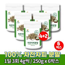 100% 차전자피 분말 주스 어린이 식이섬유 가루 파우더 자전피 차전피차 섬유소 약국차전자피 차전자 질경이씨 차전자푸, 6박스