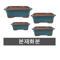 화분백화점 분재분 유약분 분재화분 도자기화분 수입 중국, SW3024, 1개