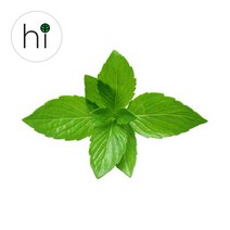 [허브아이] 페퍼민트 허브 생잎, 30g