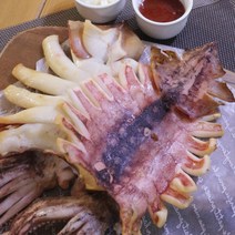 영덕 반건조오징어 5마리 소소소대특왕특, 대 5미 550g