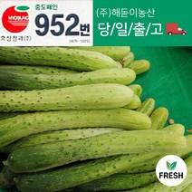<해돋이 농산> 다다기오이 백다다기오이 백오이 특품 상품 10개 20개, 다다기 특품10개” class=”wr-img”></a></div>
</p></div>
</p></div>
</p></div>
<div class=