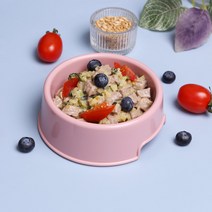 강아지화식 오플 [핀셔/슈나우저] 소고기 습식 위클리 밀키트 750g